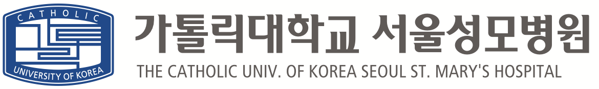 가톨릭 서울